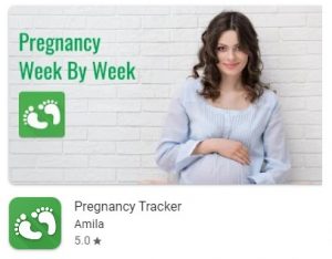 aplikasi kehamilan